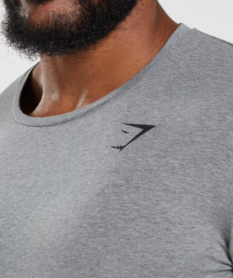 Men's Gymshark Essential T-Shirts Grey | CA 5ND6A7